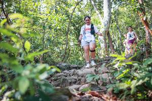 BIB: 
                            <button type="button" onclick="openModal(27704495)" class="btn btn-primary btn-sm float-right btn-popup" data-toggle="modal" data-target=".modal-high-quality">
                        <i class="fas fa-shopping-cart"></i> Add to Cart
                    </button>
                                            <button type="button" onclick="isThisMe(27704495, true)" class="btn btn-success btn-sm float-right btn-popup btn-isme hidden" data-toggle="tooltip" data-placement="bottom" title="นี่คือรูปของคุณใช่ไหม คลิกที่นี่เพื่อเอาเข้าอัลบั้ม">
                        <i class="fas fa-plus"></i> Add to album
                    </button>
                    <button type="button" onclick="isThisMe(27704495, false)" class="btn btn-warning btn-sm float-right btn-popup btn-isnotme hidden">
                        <i class="fas fa-ban"></i> Remove from album
                    </button>